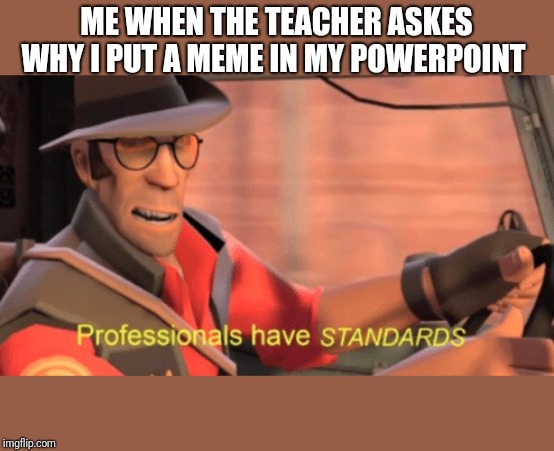 Professionals have standards | ME WHEN THE TEACHER ASKES WHY I PUT A MEME IN MY POWERPOINT | image tagged in professionals have standards | made w/ Imgflip meme maker