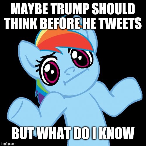 Pony Shrugs Meme | MAYBE TRUMP SHOULD THINK BEFORE HE TWEETS; BUT WHAT DO I KNOW | image tagged in memes,pony shrugs | made w/ Imgflip meme maker