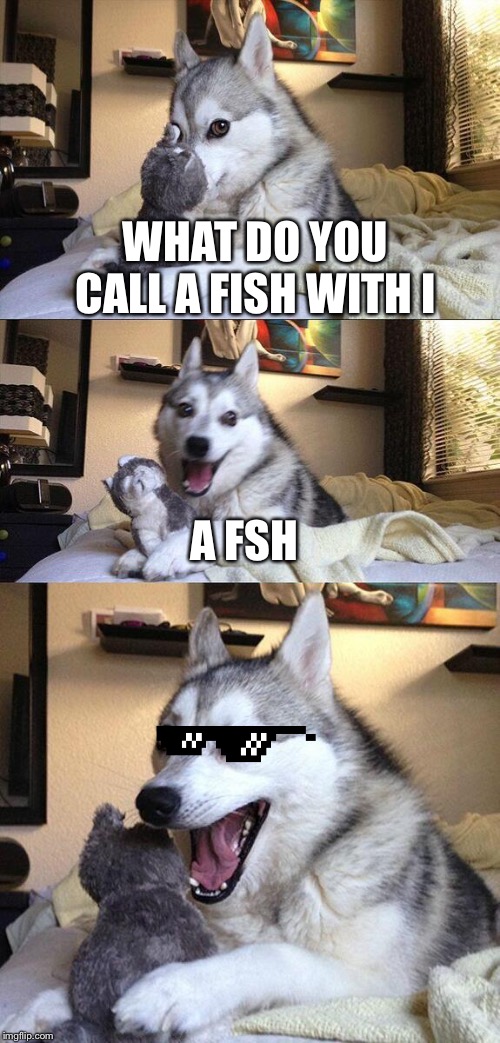 Bad Pun Dog Meme | WHAT DO YOU CALL A FISH WITH I; A FSH | image tagged in memes,bad pun dog | made w/ Imgflip meme maker