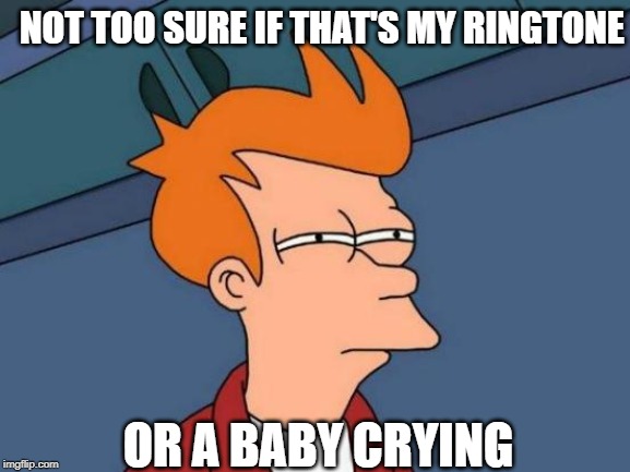 Futurama Fry Meme | NOT TOO SURE IF THAT'S MY RINGTONE; OR A BABY CRYING | image tagged in memes,futurama fry,grumpy cat,funny memes | made w/ Imgflip meme maker