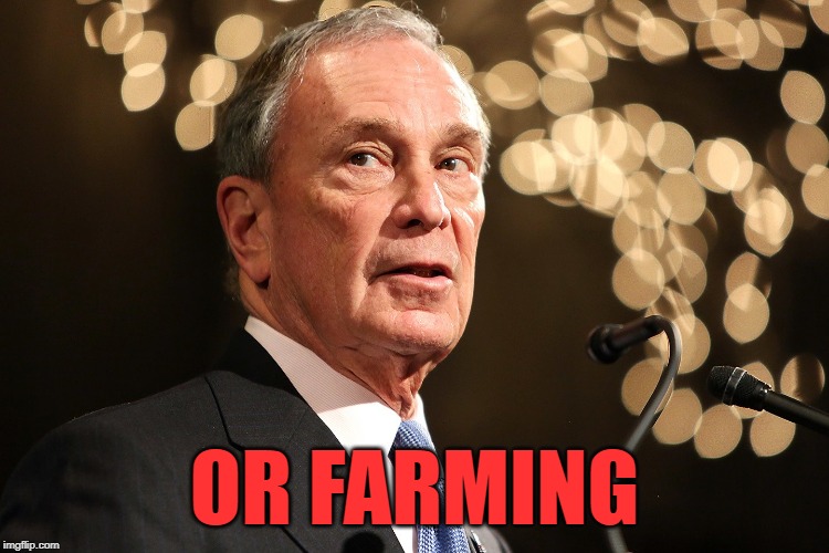 Michael Bloomberg | OR FARMING | image tagged in michael bloomberg | made w/ Imgflip meme maker