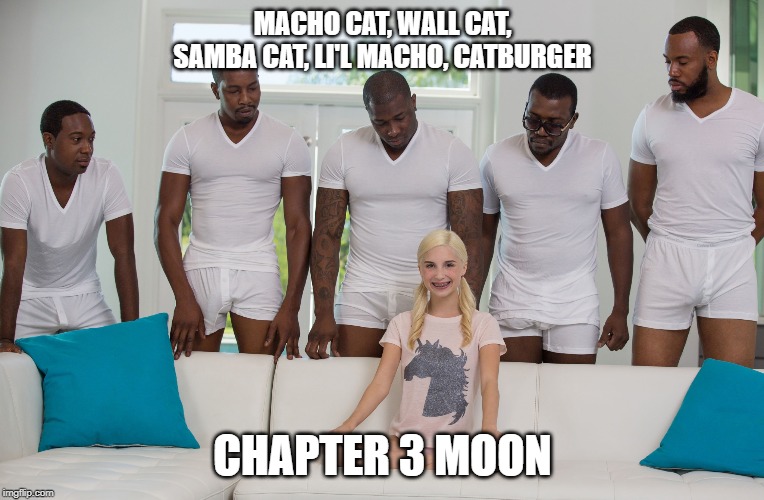 5 black guys and blonde | MACHO CAT, WALL CAT, SAMBA CAT, LI'L MACHO, CATBURGER; CHAPTER 3 MOON | image tagged in 5 black guys and blonde | made w/ Imgflip meme maker