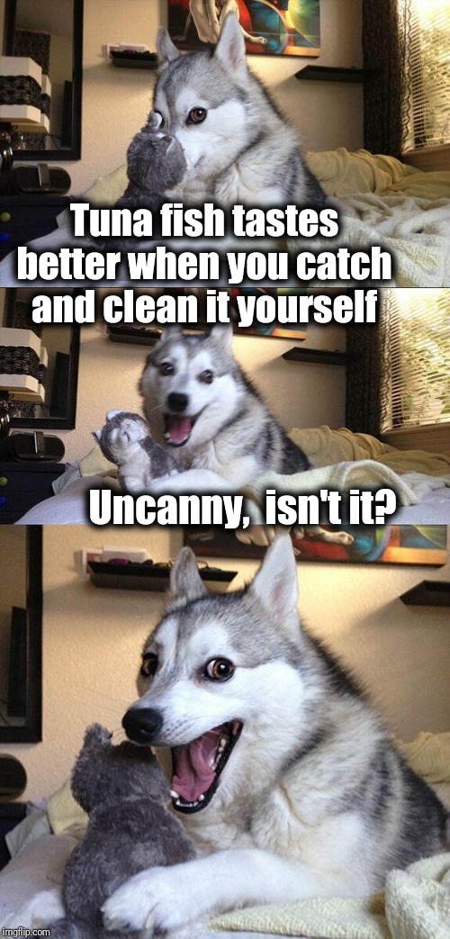 Bad Pun Dog Meme | Tuna fish tastes better when you catch and clean it yourself; Uncanny,  isn't it? | image tagged in memes,bad pun dog | made w/ Imgflip meme maker