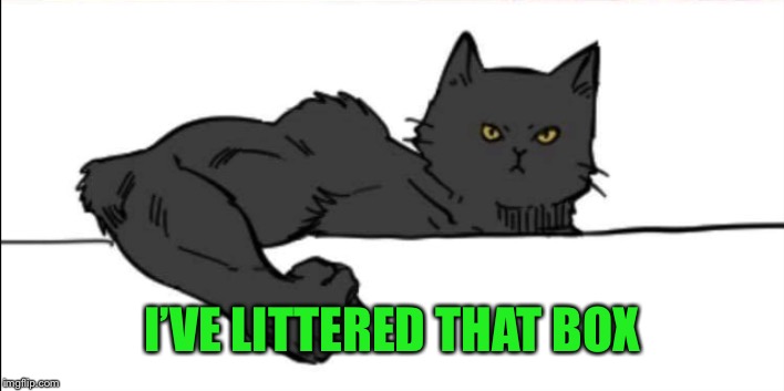 Buff cat | I’VE LITTERED THAT BOX | image tagged in buff cat | made w/ Imgflip meme maker