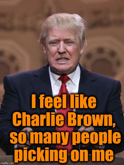 Donald Trump | I feel like Charlie Brown,  so many people picking on me | image tagged in donald trump | made w/ Imgflip meme maker