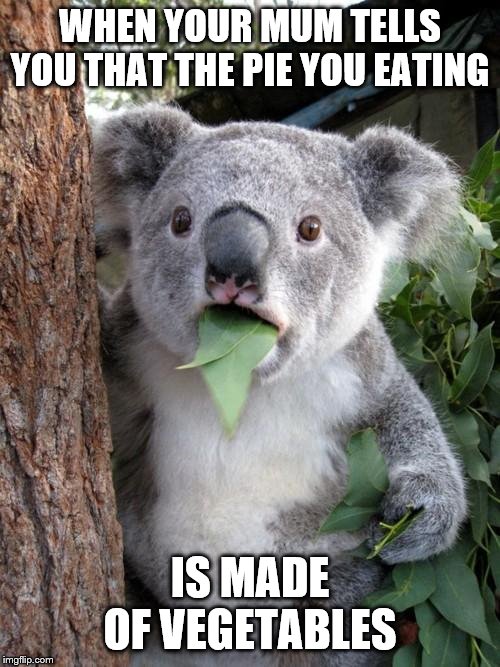 Surprised Koala Meme | WHEN YOUR MUM TELLS YOU THAT THE PIE YOU EATING; IS MADE OF VEGETABLES | image tagged in memes,surprised koala | made w/ Imgflip meme maker