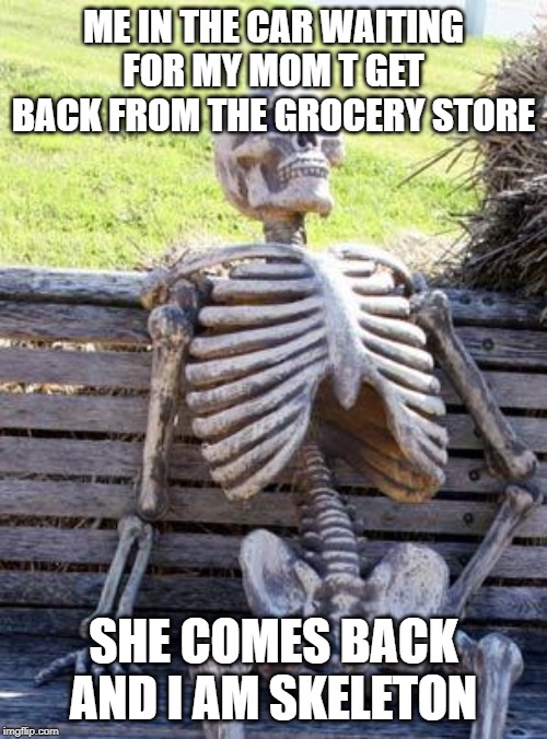 Waiting Skeleton | ME IN THE CAR WAITING FOR MY MOM T GET BACK FROM THE GROCERY STORE; SHE COMES BACK AND I AM SKELETON | image tagged in memes,waiting skeleton | made w/ Imgflip meme maker