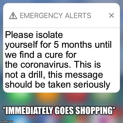 Emergency Alert | Please isolate yourself for 5 months until we find a cure for the coronavirus. This is not a drill, this message should be taken seriously; *IMMEDIATELY GOES SHOPPING* | image tagged in emergency alert | made w/ Imgflip meme maker