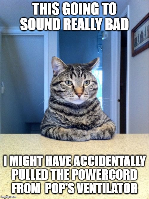 Take A Seat Cat | THIS GOING TO SOUND REALLY BAD; I MIGHT HAVE ACCIDENTALLY PULLED THE POWERCORD FROM  POP'S VENTILATOR | image tagged in memes,take a seat cat | made w/ Imgflip meme maker
