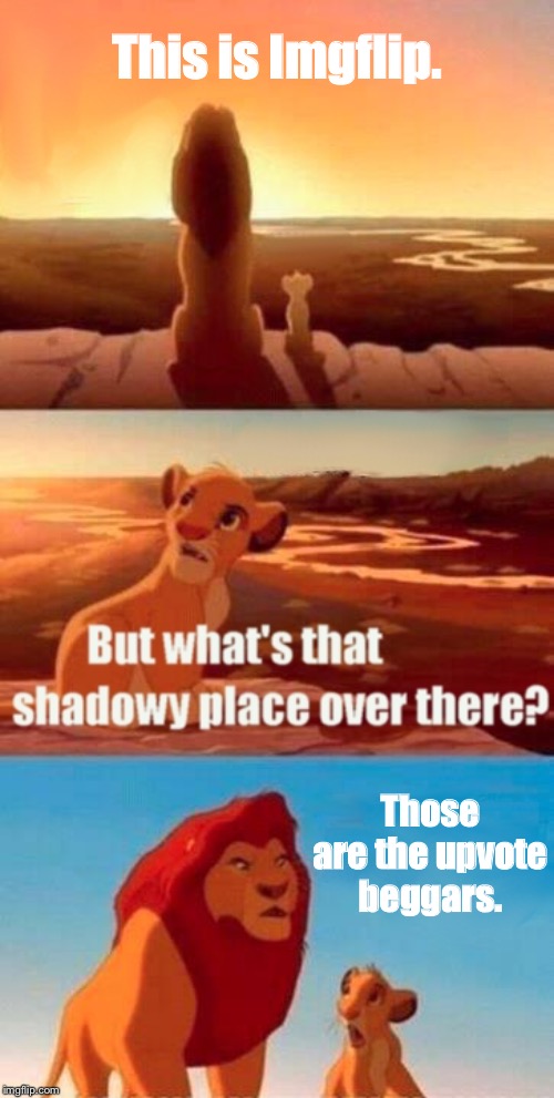 Simba Shadowy Place Meme | This is Imgflip. Those are the upvote beggars. | image tagged in memes,simba shadowy place | made w/ Imgflip meme maker