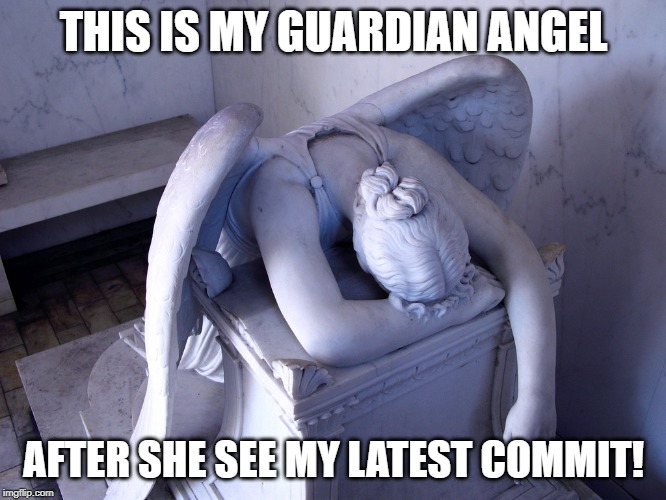 Code Commits | THIS IS MY GUARDIAN ANGEL; AFTER SHE SEE MY LATEST COMMIT! | image tagged in guardian angel,git,code commits | made w/ Imgflip meme maker
