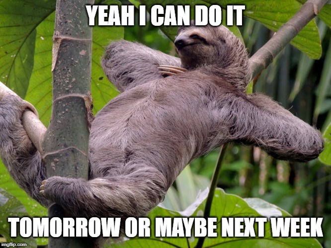Lazy Sloth | YEAH I CAN DO IT TOMORROW OR MAYBE NEXT WEEK | image tagged in lazy sloth | made w/ Imgflip meme maker