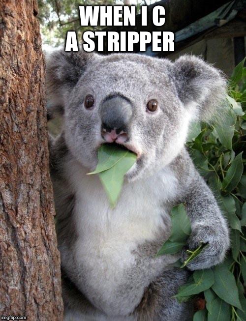 Suprised Koala | WHEN I C A STRIPPER | image tagged in suprised koala | made w/ Imgflip meme maker