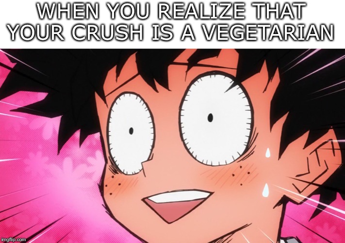 WHEN YOU REALIZE THAT YOUR CRUSH IS A VEGETARIAN | image tagged in deku,anime meme | made w/ Imgflip meme maker