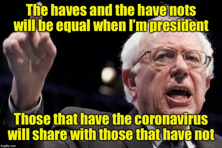 Equality | The haves and the have nots will be equal when I’m president; Those that have the coronavirus will share with those that have not | image tagged in bernie sanders,coronavirus | made w/ Imgflip meme maker