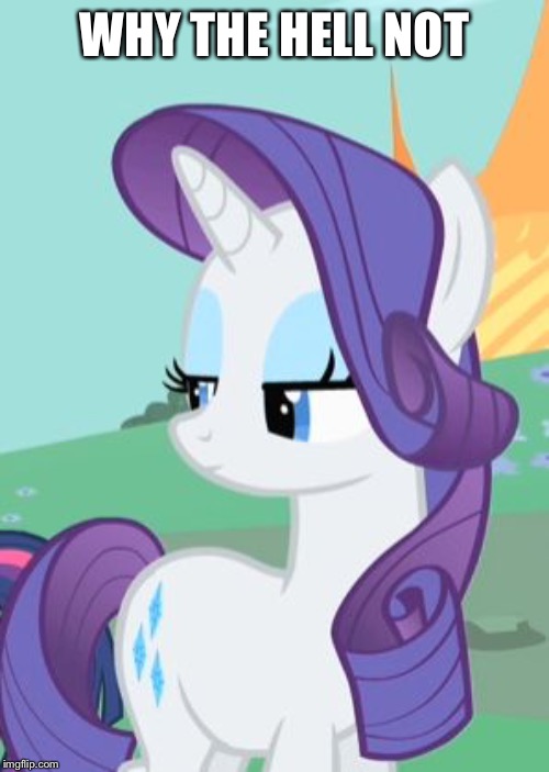 My Little Pony Rarity Sarcastic | WHY THE HELL NOT | image tagged in my little pony rarity sarcastic | made w/ Imgflip meme maker