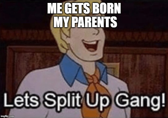 its your fault | ME GETS BORN
 MY PARENTS | image tagged in lets split up hang | made w/ Imgflip meme maker