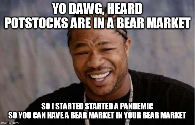 Yo Dawg Heard You Meme | YO DAWG, HEARD POTSTOCKS ARE IN A BEAR MARKET; SO I STARTED STARTED A PANDEMIC
SO YOU CAN HAVE A BEAR MARKET IN YOUR BEAR MARKET | image tagged in memes,yo dawg heard you | made w/ Imgflip meme maker