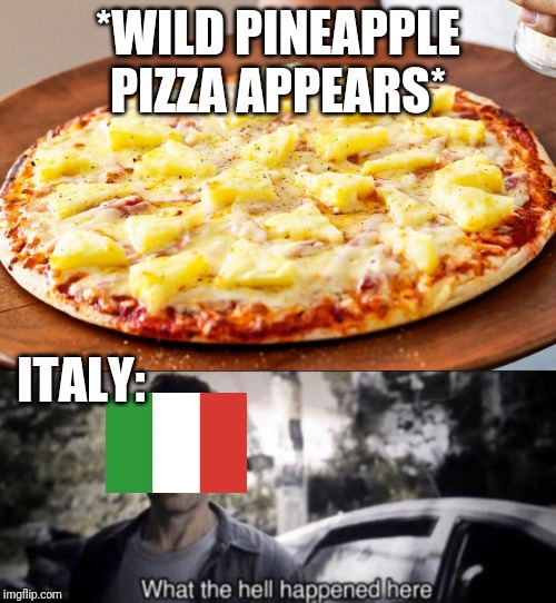 Not Recommended | *WILD PINEAPPLE PIZZA APPEARS*; ITALY: | image tagged in pineapple pizza,what the hell happened here | made w/ Imgflip meme maker