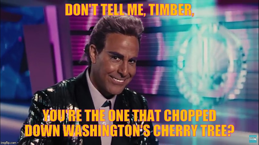 Caesar Flickerman (Stanley Tucci) | DON'T TELL ME, TIMBER, YOU'RE THE ONE THAT CHOPPED DOWN WASHINGTON'S CHERRY TREE? | image tagged in caesar flickerman stanley tucci | made w/ Imgflip meme maker