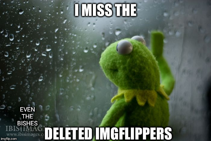 kermit window | I MISS THE; EVEN THE BISHES; DELETED IMGFLIPPERS | image tagged in kermit window,deleted accounts | made w/ Imgflip meme maker