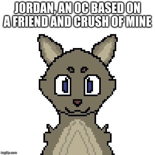 JORDAN, AN OC BASED ON A FRIEND AND CRUSH OF MINE | made w/ Imgflip meme maker