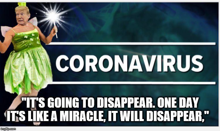 With the Wave of His Wand... | "IT'S GOING TO DISAPPEAR. ONE DAY IT'S LIKE A MIRACLE, IT WILL DISAPPEAR," | image tagged in fairy,coronavirus,trump is a moron | made w/ Imgflip meme maker