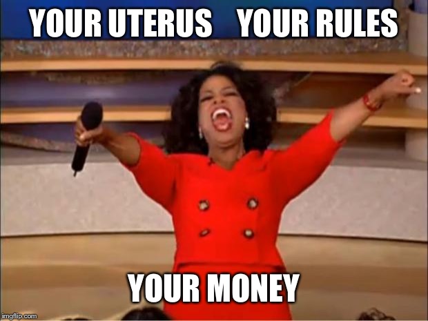 Oprah You Get A Meme | YOUR UTERUS    YOUR RULES YOUR MONEY | image tagged in memes,oprah you get a | made w/ Imgflip meme maker