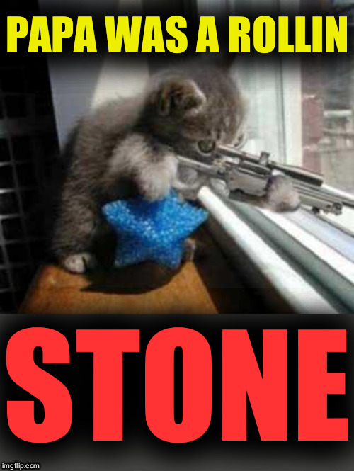 CatSniper | PAPA WAS A ROLLIN; STONE | image tagged in catsniper | made w/ Imgflip meme maker