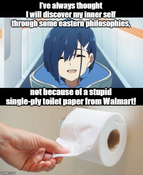 single-ply toilet paper | I’ve always thought 
I will discover my inner self 
through some eastern philosophies, not because of a stupid single-ply toilet paper from Walmart! | image tagged in funny | made w/ Imgflip meme maker