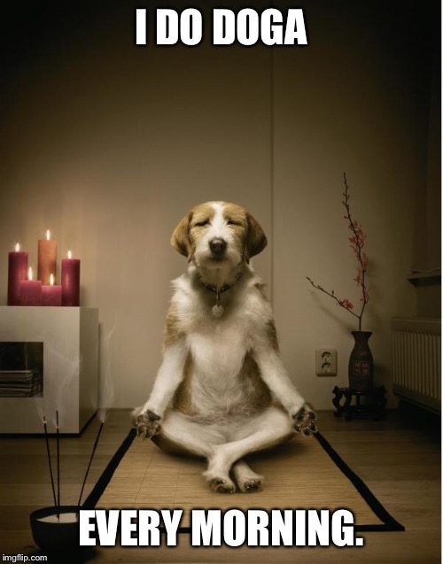 dog meditation funny | I DO DOGA; EVERY MORNING. | image tagged in dog meditation funny | made w/ Imgflip meme maker