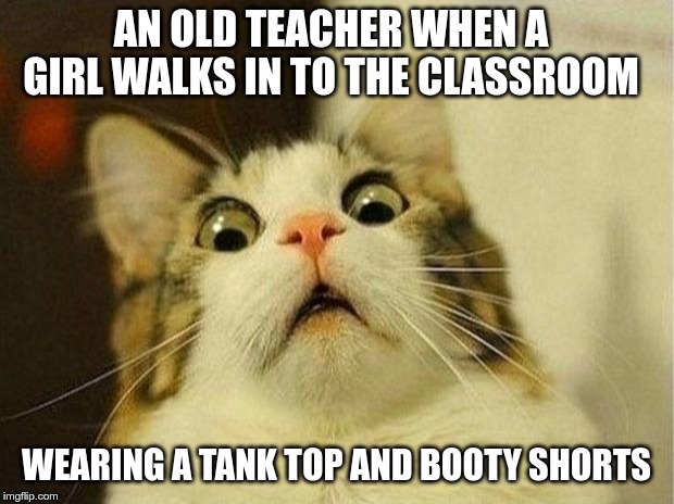 Scared Cat Meme | AN OLD TEACHER WHEN A GIRL WALKS IN TO THE CLASSROOM; WEARING A TANK TOP AND BOOTY SHORTS | image tagged in memes,scared cat | made w/ Imgflip meme maker