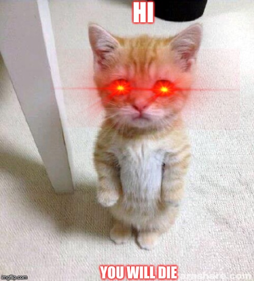Cute Cat Meme | HI; YOU WILL DIE | image tagged in memes,cute cat | made w/ Imgflip meme maker