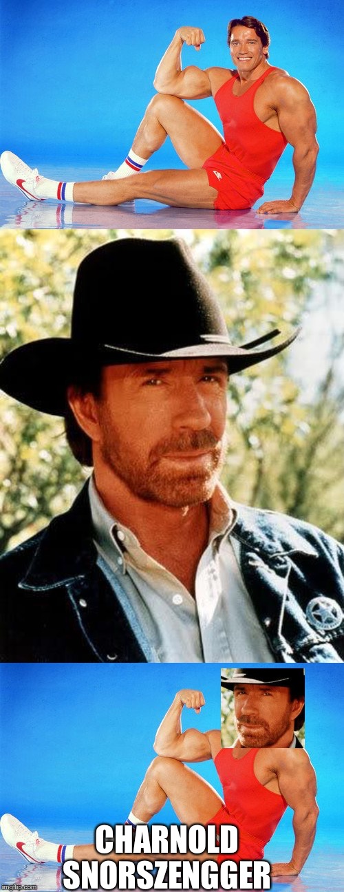 CHARNOLD SNORSZENGGER | image tagged in memes,chuck norris,arnold schwarzenegger flex | made w/ Imgflip meme maker