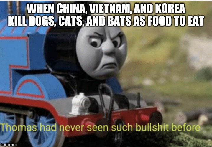 Thomas | WHEN CHINA, VIETNAM, AND KOREA KILL DOGS, CATS, AND BATS AS FOOD TO EAT | image tagged in thomas | made w/ Imgflip meme maker
