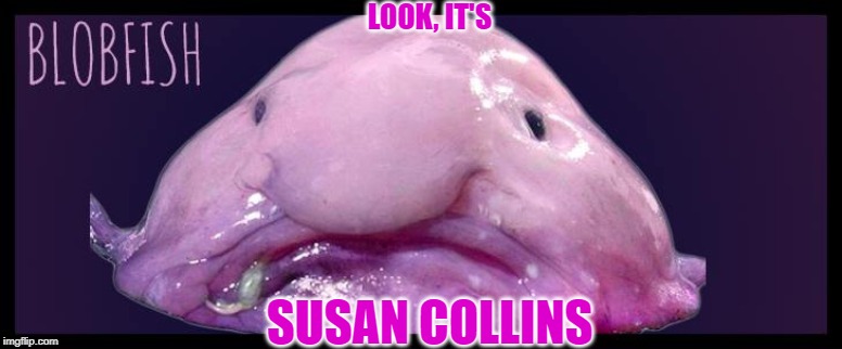 Blob FIsh - Imgflip