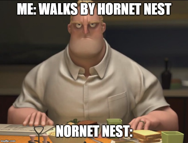 Mr. Incredible is Angry | ME: WALKS BY HORNET NEST; NORNET NEST: | image tagged in memes,bugs | made w/ Imgflip meme maker