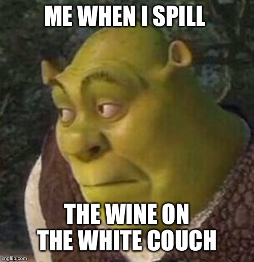 Shrek | ME WHEN I SPILL; THE WINE ON THE WHITE COUCH | image tagged in shrek | made w/ Imgflip meme maker