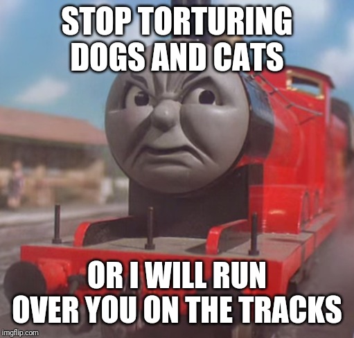 Thomas | STOP TORTURING DOGS AND CATS; OR I WILL RUN OVER YOU ON THE TRACKS | image tagged in thomas | made w/ Imgflip meme maker