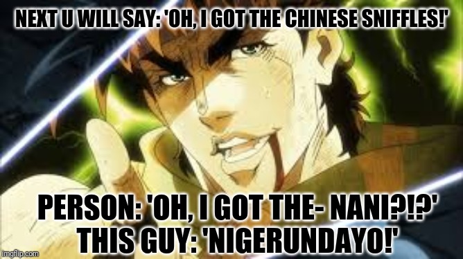 next you'll say | NEXT U WILL SAY: 'OH, I GOT THE CHINESE SNIFFLES!'; PERSON: 'OH, I GOT THE- NANI?!?'
THIS GUY: 'NIGERUNDAYO!' | image tagged in next you'll say | made w/ Imgflip meme maker