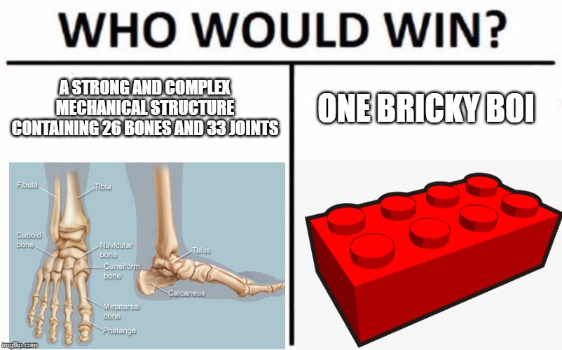 Who Would Win? Meme | A STRONG AND COMPLEX MECHANICAL STRUCTURE CONTAINING 26 BONES AND 33 JOINTS; ONE BRICKY BOI | image tagged in memes,who would win | made w/ Imgflip meme maker