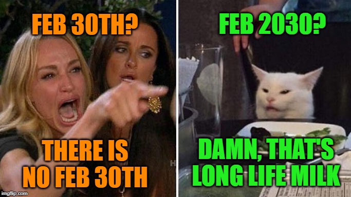 Angry lady cat | FEB 30TH? FEB 2030? THERE IS NO FEB 30TH DAMN, THAT'S LONG LIFE MILK | image tagged in angry lady cat | made w/ Imgflip meme maker