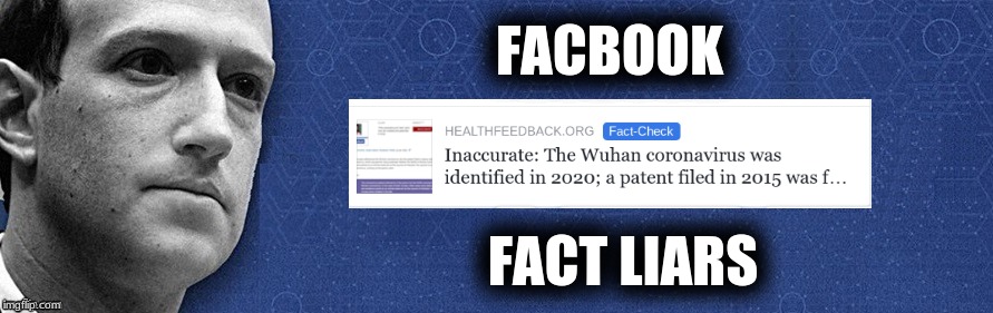 It was created before 2020 | FACBOOK; FACT LIARS | image tagged in liars,lies,and that's a fact,facebook,corona virus,coronavirus | made w/ Imgflip meme maker