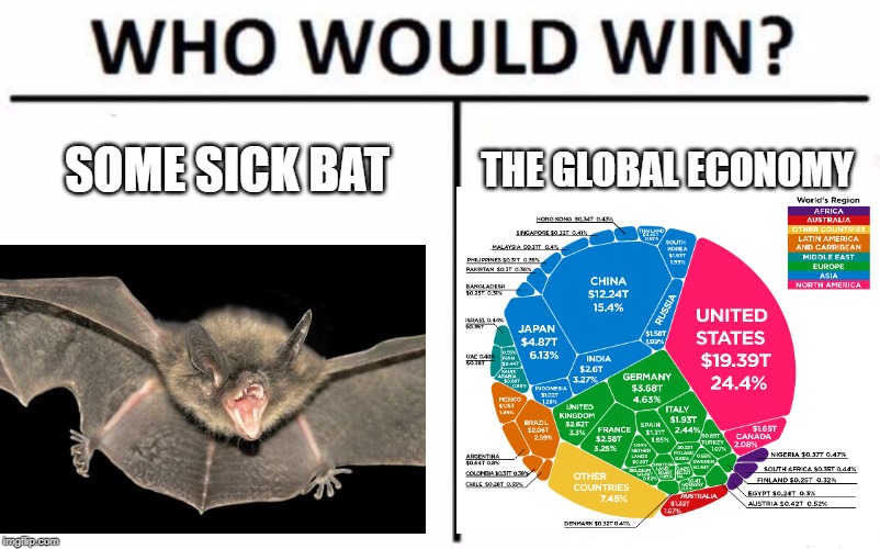 Who Would Win? Meme | SOME SICK BAT; THE GLOBAL ECONOMY | image tagged in memes,who would win | made w/ Imgflip meme maker