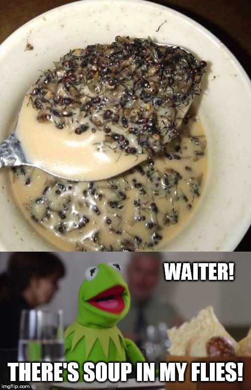 WAITER! THERE'S SOUP IN MY FLIES! | image tagged in fly,soup,kermit the frog | made w/ Imgflip meme maker