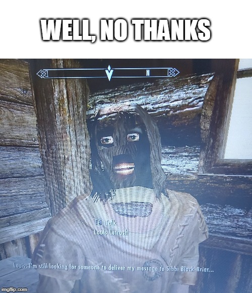Graphics glitch | WELL, NO THANKS | image tagged in graphics glitch,skyrim meme,skyrim | made w/ Imgflip meme maker