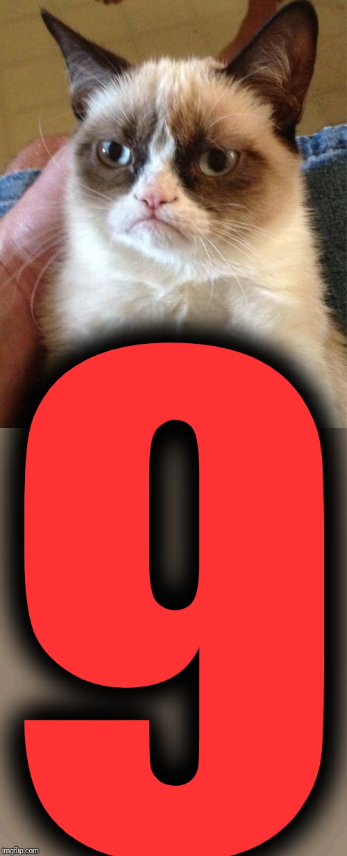Grumpy Cat Meme | 9 | image tagged in memes,grumpy cat | made w/ Imgflip meme maker