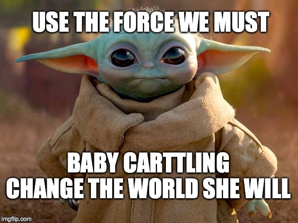Yoda baby | USE THE FORCE WE MUST; BABY CARTTLING CHANGE THE WORLD SHE WILL | image tagged in yoda baby | made w/ Imgflip meme maker