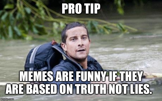 Bear Grylls Survival Tip | PRO TIP MEMES ARE FUNNY IF THEY ARE BASED ON TRUTH NOT LIES. | image tagged in bear grylls survival tip | made w/ Imgflip meme maker