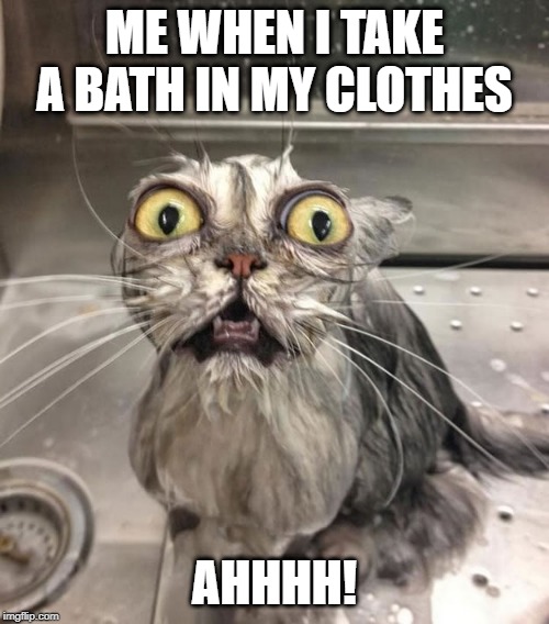 Wet Scary Cat | ME WHEN I TAKE A BATH IN MY CLOTHES; AHHHH! | image tagged in wet scary cat | made w/ Imgflip meme maker